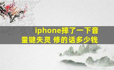 iphone摔了一下音量键失灵 修的话多少钱